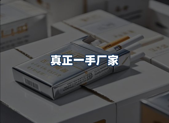 专业团队办公环境